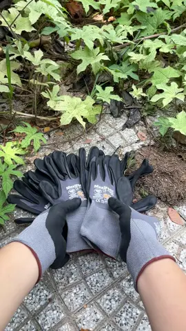 Pack de 12 pares de guantes MaxiFlex Ultimate — seguros, transpirables y con ajuste perfecto para trabajos detallados y limpieza rápida  #laborday #tiktokshoplabordaysale #maxiflex #gloves #workgloves #guantes #trabajo #guantesdetrabajo