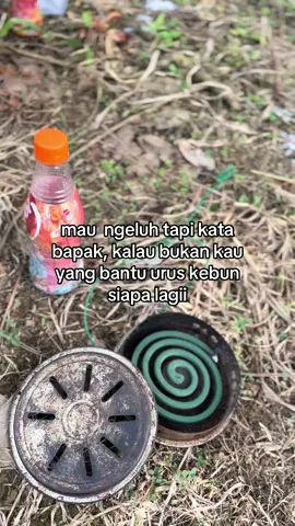smgt buat anak pertama.                      #sawit 