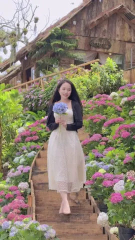 Đà Lạt những ngày tháng 9 . Gió dịu dàng và nắng cũng miên man ☺️#dalat #dulichdalat #dalatdidau #coffeedalat #happyhilldalat 