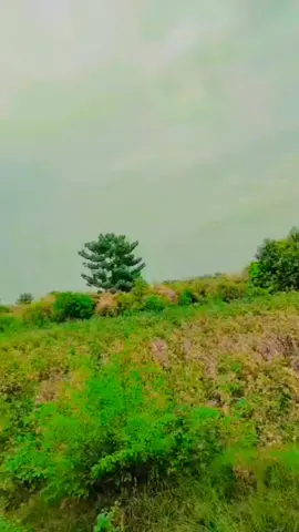 #J #plzviral🥺🥺🙏🙏foryoupage #♥♥ 