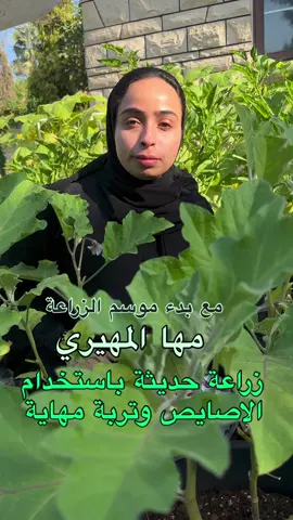 هذا الفيديو صورته مع مها المهيري من اربع سنوات لنظام الاصايص ونظام الري الخاص بها وخلطة التربة الخاصة بها  @mahayasfarm 