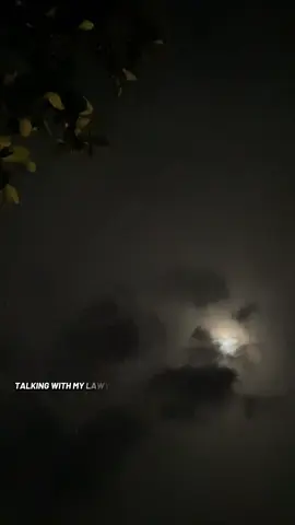 #moralofthestory 