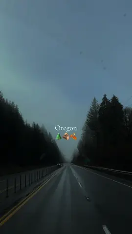Trip to Oregon 🌲🪵🍂  #fyp #foryoupage #paratiiiiiiiiiiiiiiiiiiiiiiiiiiiiiii #oregon #oregoncoast #travel #traveltok #traveltiktok #twillight #vibes #multnomahfalls #cannonbeach #views 