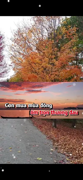 Có một người vẫn đợi...#tamtrang #nhactamtrang #nhachaymoingay #nhaclyrics #xuhuongtiktok 