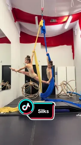 #silks #aerialgymnastics #twins #recommendations #fyp 