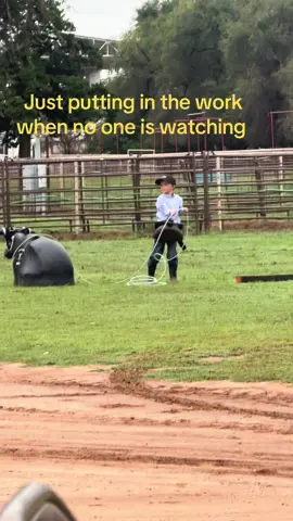 #farmlife #hardcastlelandandcattle 