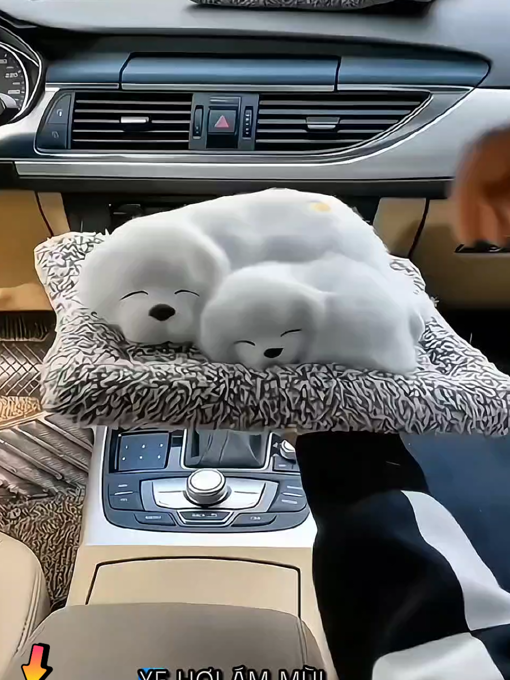 Túi than hoạt tính mô phòng hình chó mèo trang trí trên taplo xe ô tô, phòng ngủ. Giúp hút ẩm, khử mùi. Có tiếng kêu siêu đáng yêu #thúbôngtrangtrítaplo #thanhoạttính #khửmùioto #hútẩmxeôtô 