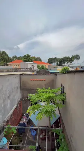 Kêu lên siết mấy con tán mà ngủ thẳng cẳng z đó 😩#dienlanhmiennam #dienlanhsaigon #thailand🇹🇭 #vietnam 