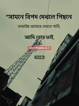কোনো মীরজাফর না 🫂🔥🤝#fyp #foryou #viral #foryou #viralvideo 
