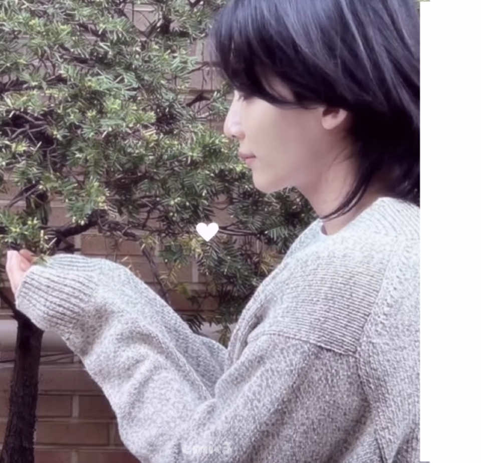 my beautiful pretty pink princess pls come home <3 guys this edit took 3+ hours pls dont fail me 😢 #jeonghan #jeonghanedit #seventeen #fyp #foryou 