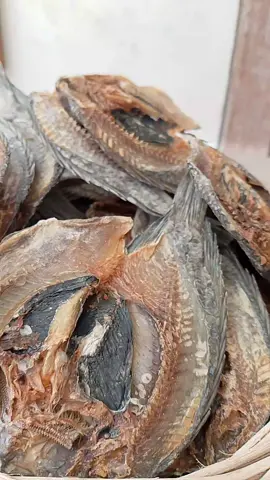 #ikanasinmujairlagipromoenakgurihnagih## #yokburuandiorderya##