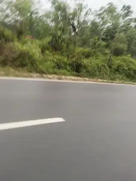 #CapCut#fyppppppppppppppppppppp 