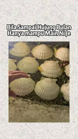 biasa lah TU hujung bulan🥲
