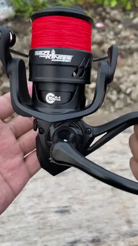 Rel pancing seaking enzo #reelpancing #seaking #seakingenzo 