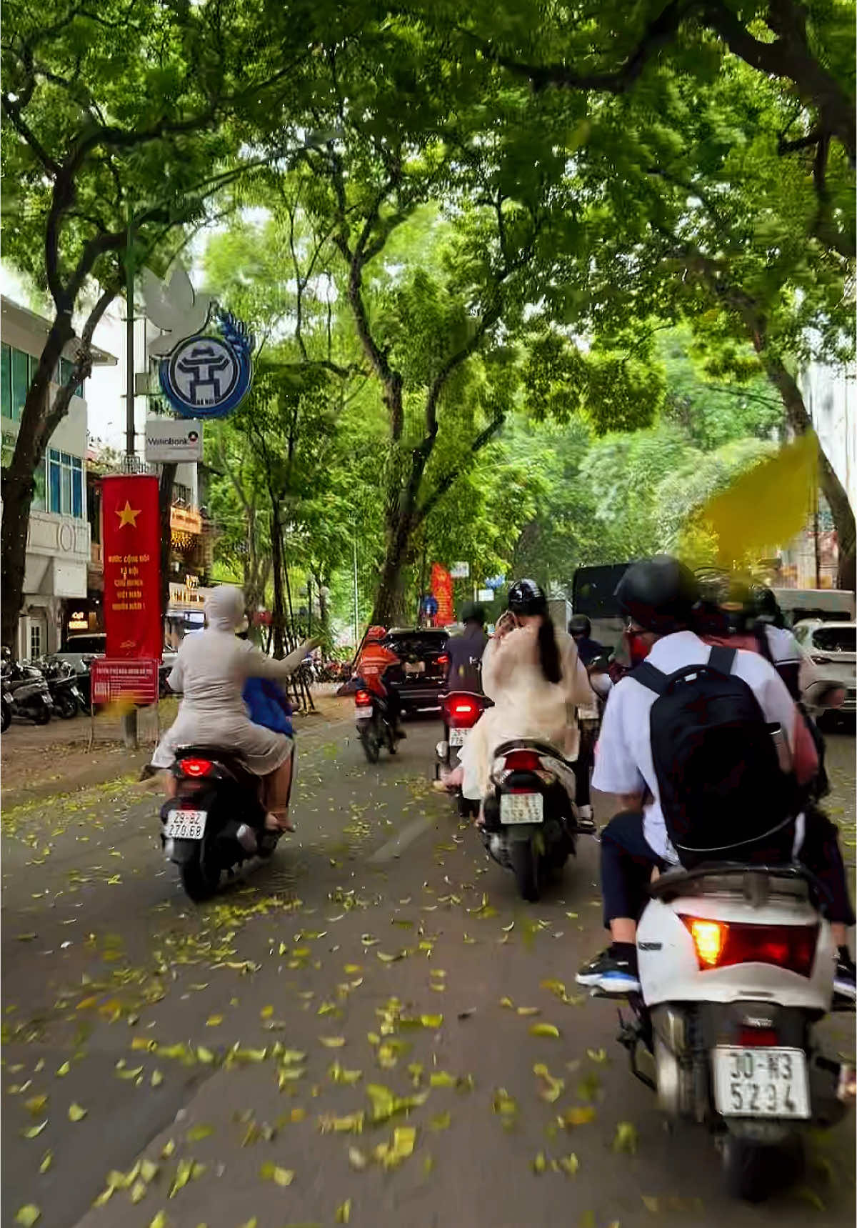 Cứ mùa Thu tới thì cô đơn! Thu Hà Nội có thú vị thật ko mọi người?  ___ #thuhanoi #codon #phandinhphung #hanoi #fyp #trending