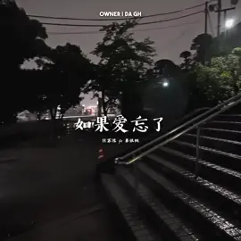 汪苏泷( Wang Su Long ) Ft. 单依纯( Shan Yi Chun ) - 如果爱忘了/ Ru Guo Ai Wang Le #TherealDaGh #therealdagh #fyp #capcut #chinese_song 