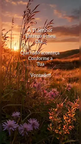 #frasesmotivadoras #bomdia #motivation #motivacional #viral 