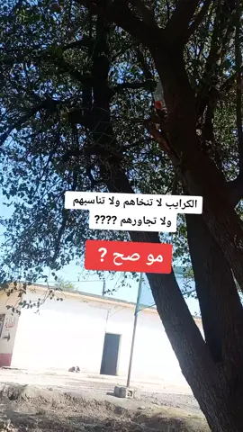 #الشعب_الصيني_ماله_حل😂😂 #الشعب_الصيني_ماله_حل😂😂 #الشعب_الصيني_ماله_حل😂😂 #الشعب_الصيني_ماله_حل😂😂 #الشعب_الصيني_ماله_حل😂😂 