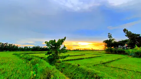মানুষকে নয়,প্রকৃতিকে ভালোবাসো কখনো কষ্ট দিবে না 🌿☘️😊 #foryou #foryoupage #trending #tiktok #capcut @TikTok @TikTok Bangladesh 