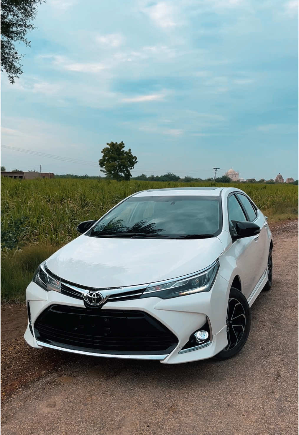 🤍👀#foryoupage #trending #grande #2025 #top #trend #foryou #viralvideo #fyyp 