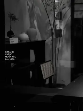 Giờ anh chẳng muốn yêu lần nữa…#nmh_20th5 #nhachaymoingay #nhactamtrang #xh 