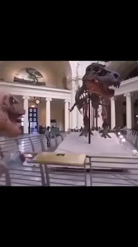 حسابي رياكشنات من غير كتابه💭🤍 #reactionvideo #رياكشن_بدون_كتابه #reaction #following #comment 