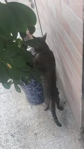 😧
