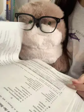 Con hải cẩu bạn trai tặng tôi dễ thương quá! #haicau #gaubonghaicau #quatangbangai #dethuongmuonxiu #cute 