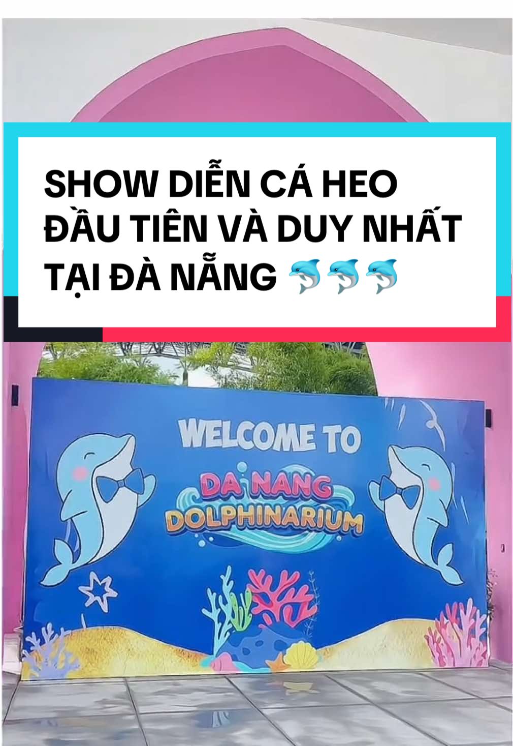 🐬 Show cá heo đầu tiên và duy nhất tại Đà Nẵng. Trải nghiệm ngay thôi nàoo 😍😍😍 #danangdolphinarium #showcaheodanang #danang #viraltiktok #thienduongcoco @TikTok 