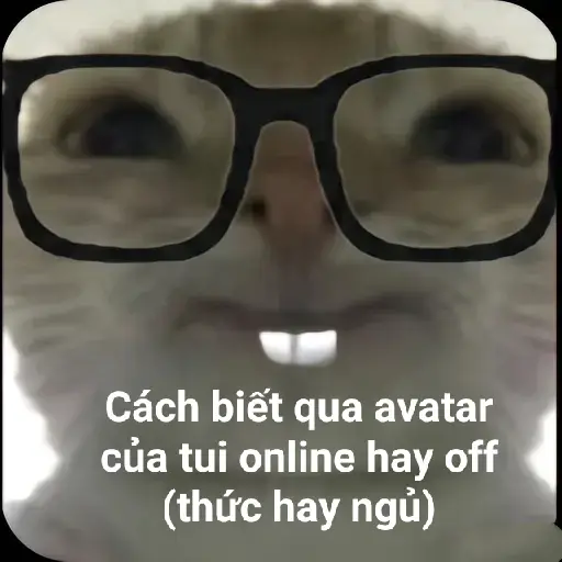ko có hihi #xuhuong #meme #haihuoc 