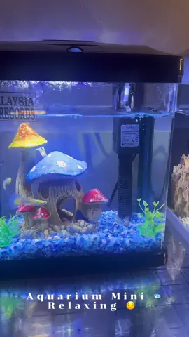 Akuarium Kecil 🐟💕 ✅ Reka bentuk padat  ✅ Kaca akuarium  ✅ Kit semua dalam (1Set) Pam , lambu LED & Filter  ✅ Estetik moden  ✅ Low penyelenggaraan  ORDER LA SEKARANG!😍❤️ #akuariummini #soboaquarium #akuariumkaca #sobot240 