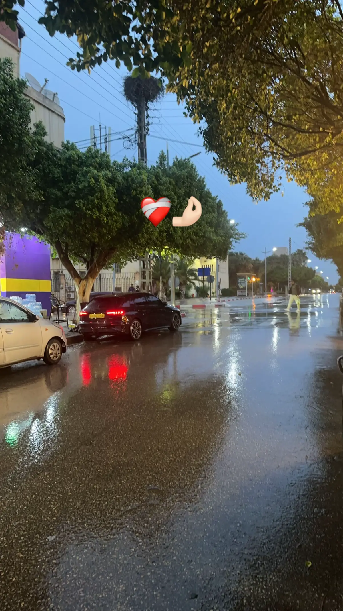 #سفيان_بوعيط #غرب #algeria #