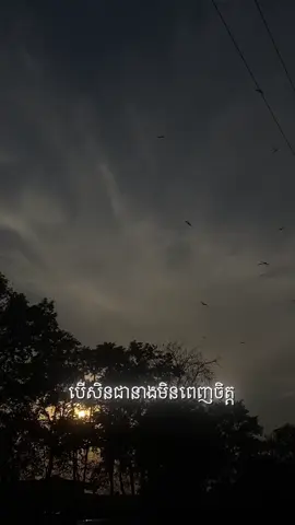 បើអ្នកមិនពេញចិត្ត អ្នកអាចប្រាប់ខ្ញុំបាន ខ្ញុំនឹងស្របតាមចិត្តរបស់អ្នក #sad #foryou #khmertiktok #និស្ស័យ #fypシ 