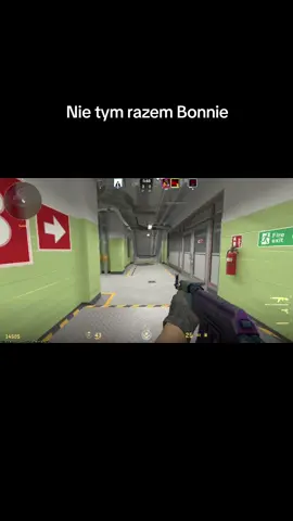 #csgo #fnaf #fnaf2 #cs2 #polska 