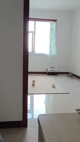 Hello, little cutie!😘