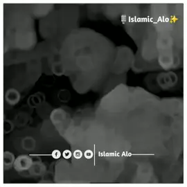 দুই মিনিটে আপনি একটা কুরআন খতমের নেকি পাবেন ইন শা আল্লাহ..//❤️‍🩹🌺  #আবু_ত্বহা_মোহাম্মদ_আদনান👳 #fypシ #foryoupage #viral_video #islamic_alo_official123 ❤️‍🩹🌺 @TikTok @TikTok Trends @TikTok Bangladesh 