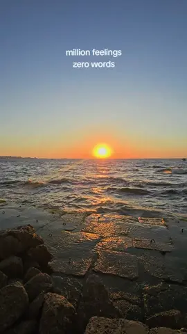 🖤