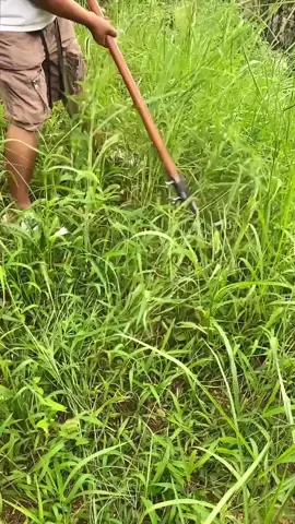 จัดให้พิเศษ 🎉 ต้อนรับ 9.9 💚 เคียวการเกษตร 💚 ต่อด้ามยาว 2 ชิ้น 💥9️⃣9️⃣💥 เท่านั้น