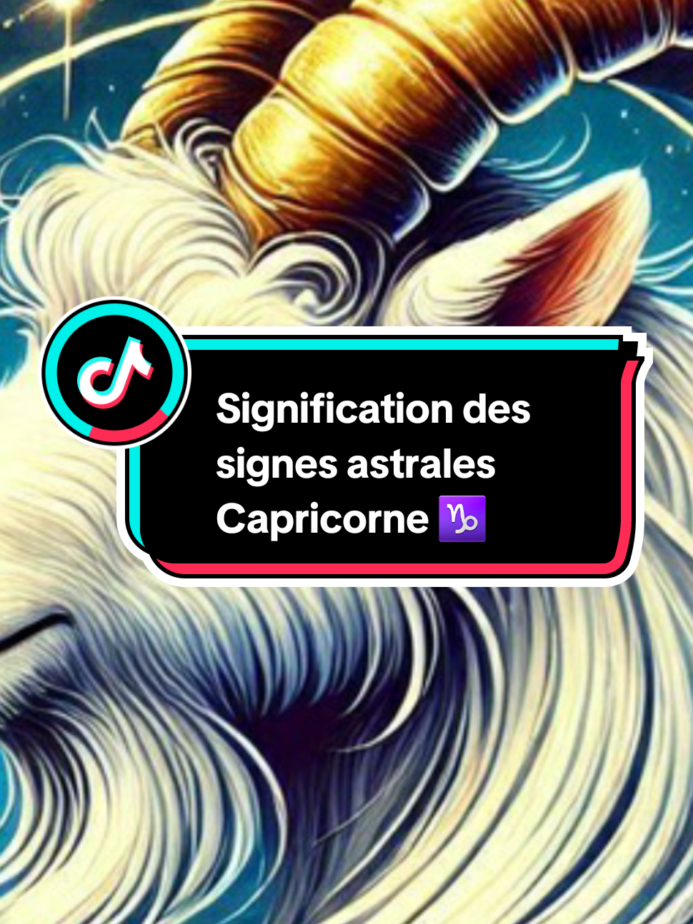 Signification des signes astrales  #canada_life🇨🇦 #cotedivoire🇨🇮 #paratiiiiiiiiiiiiiiiiiiiiiiiiiiiiiii #tiktok #capricorn 
