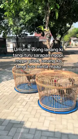 Kok malah minta maap#fyp 