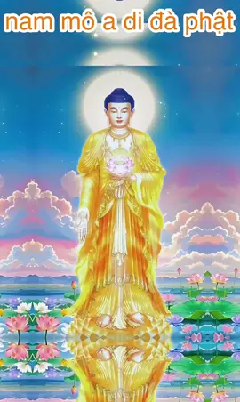 pháp môn tịnh độ : trích tư tưởng tịnh độ của đại sư thiện đạo 🙏 🙏 🙏 tác giả : đại sư thiện đạo nam mô a di đà phật 🙏 🙏 🙏nam mô a di đà phật  #phatphapvadoisong #phatgiao #phatphap #phật #phậtpháp    