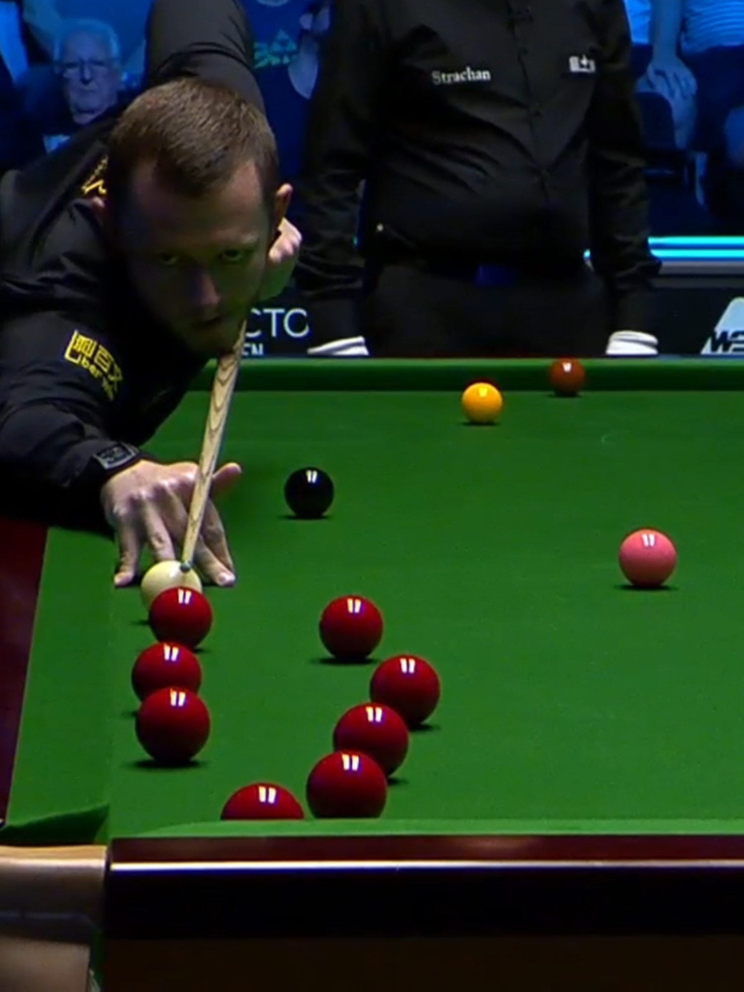 Mark Allen's INCREDIBLE PLANT! #snooker #fyp #foryou