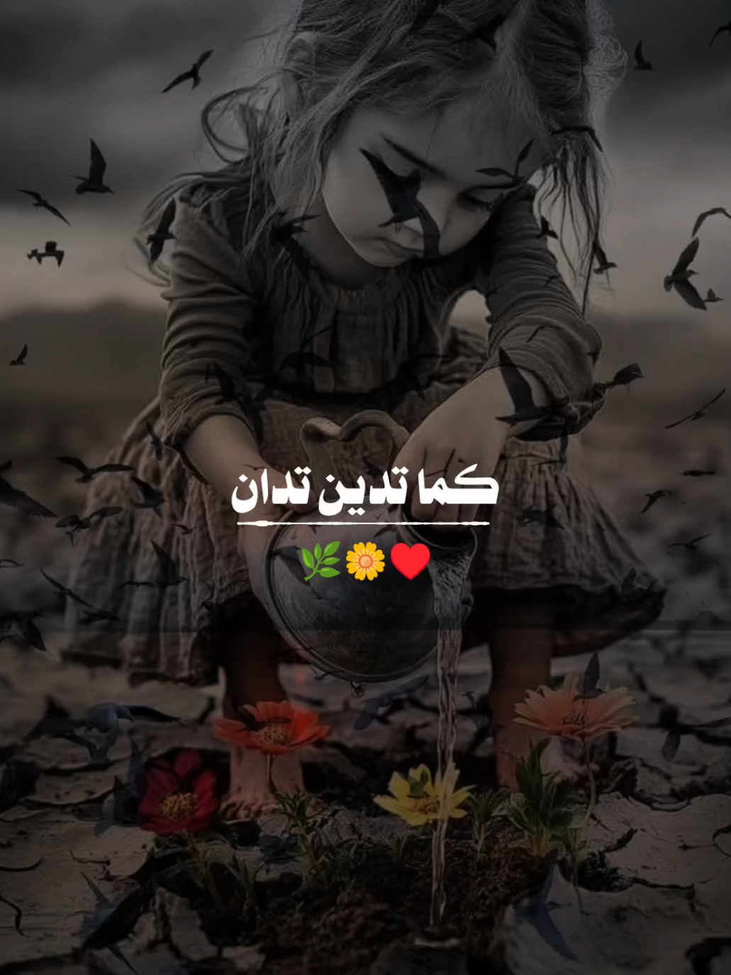 كما تدين تدان وكما تزرع تحصد #ابراهيم_شيخاني #عبارات 
