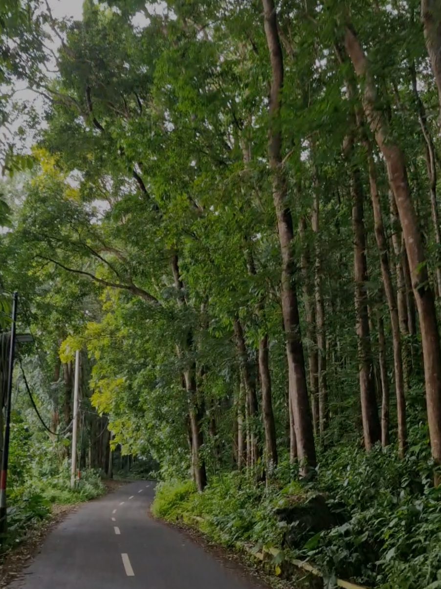 Jangan bandingkan perjuanganmu dengan orang lain. Kita semua punya medan perang dan musuh yang berbeda. Fokus pada pertarunganmu sendiri. #quote #motivasi #selfreminder #semangatberjuang #inspirasiislam 