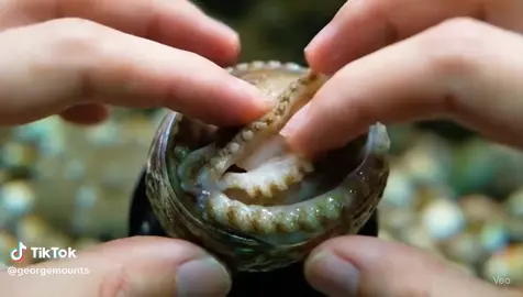 ontran2 OPO maneh kiiih 😆😆 