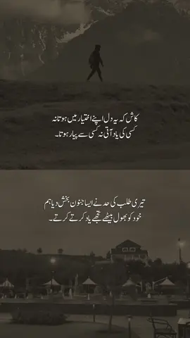 𝐇𝐚𝐲𝐞𝐞🥺💔  #foryoupage #urdu #urdupoetry #sad #sadshayari 