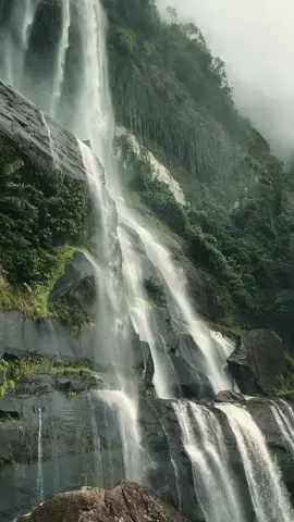 seindah iniii #fyp #waterfall #hutankalimantan #forest 