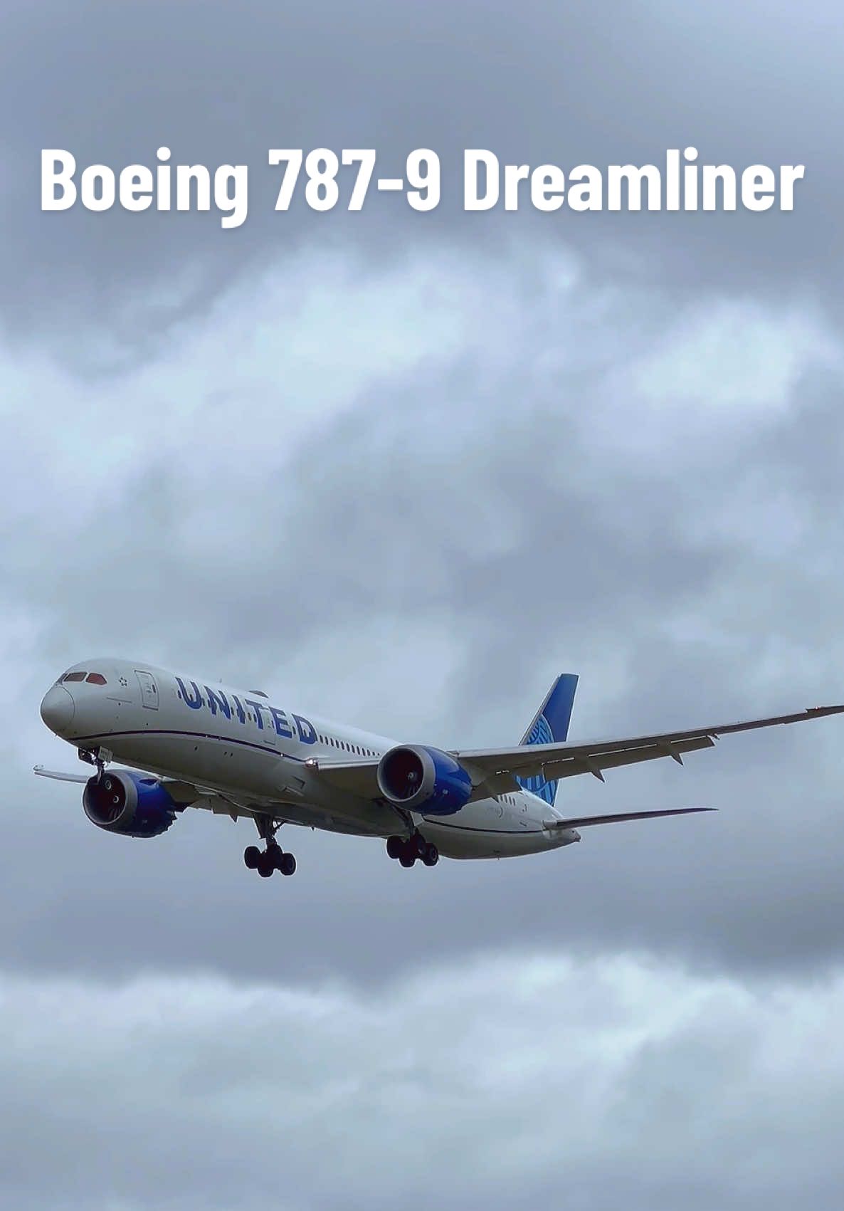 Graceful Boeing 787-9 of United Airlines Gently Touchdown Heathrow Airport #Boeing787 #dreamliner #UnitedAirlines #Aviation #PlaneSpotting @TikTok @United Airlines 