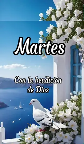 #Martes#conlabendiciondedios #frasesmotivadoras🦋 #parati #Buenosdias 