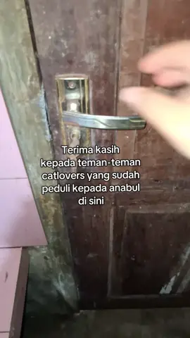 Kalau mau berbagi kepada mereka bisa lewat ewallet di bio, bisa DM untuk kirim pakan, bisa juga dengan ramaikan video anabul. Support mereka bisa dengan berbagai cara. #cat #foryou #catsoftiktok #fyp #viral 